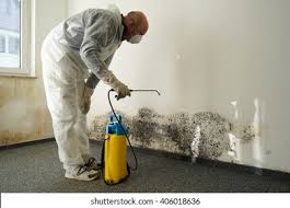 Blue Mound, IL Mold Remediation Company